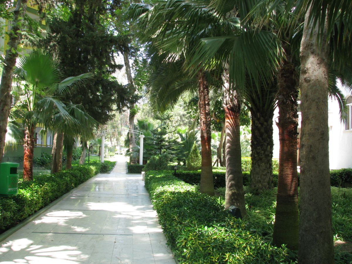 imagini hotel DELPHIN BOTANIK